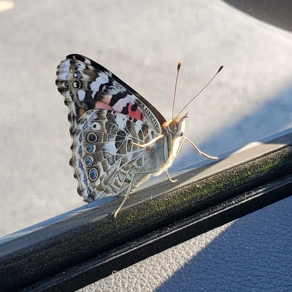 Hello! Welcome to my closet. - Picture 1 of 8